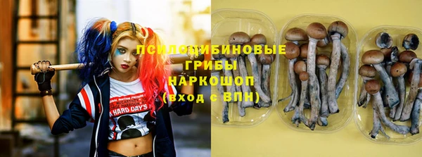 крисы Алексин