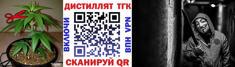 Купить где  Каргат  ТГК гашишное масло 
