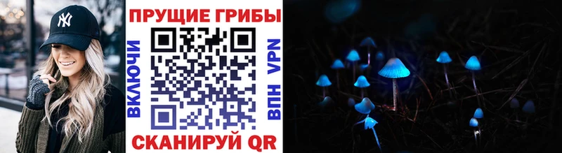 Купить закладки  Каргат  Галлюциногенные грибы MAGIC MUSHROOMS 